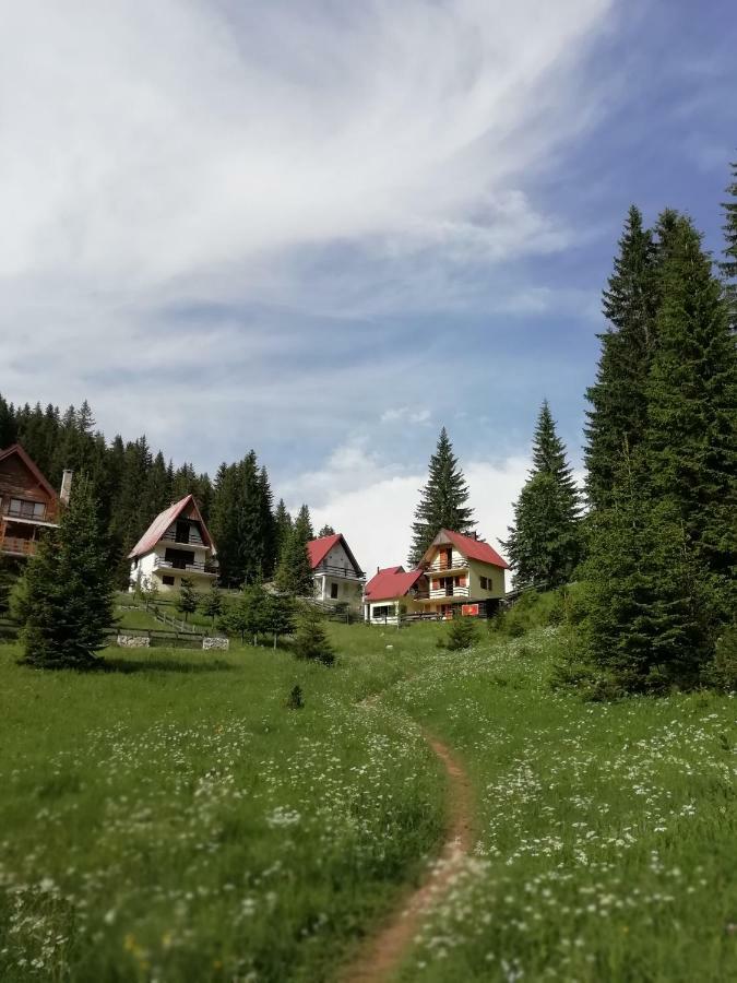 Apartment Vujisic Žabljak エクステリア 写真